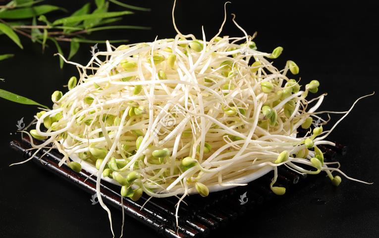 無(wú)公害綠色豆芽，怎么生產(chǎn)出來(lái)的？全套生產(chǎn)過(guò)程如此方便智能